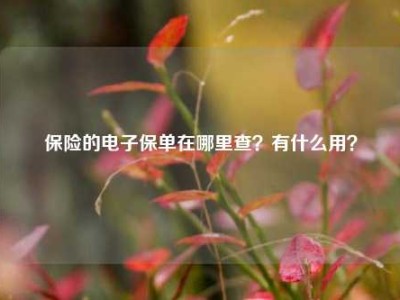 保险的电子保单在哪里查？有什么用？