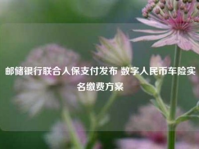 邮储银行联合人保支付发布 数字人民币车险实名缴费方案