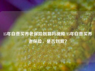 15年自费买养老保险划算吗视频 15年自费买养老保险，是否划算？