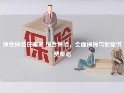 综合保险在哪里 综合保险，全面保障与便捷缴费策略