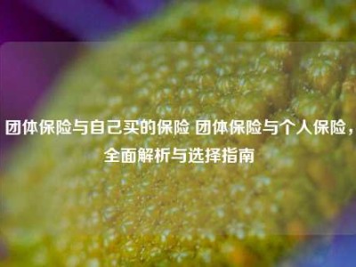 团体保险与自己买的保险 团体保险与个人保险，全面解析与选择指南