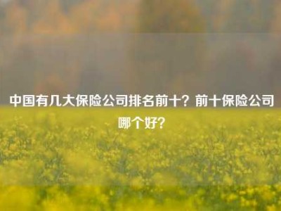 中国有几大保险公司排名前十？前十保险公司哪个好？