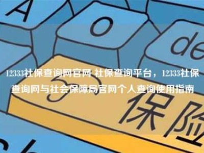 12333社保查询网官网 社保查询平台，12333社保查询网与社会保障局官网个人查询使用指南