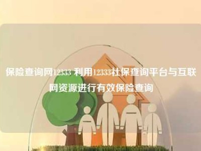 保险查询网12333 利用12333社保查询平台与互联网资源进行有效保险查询