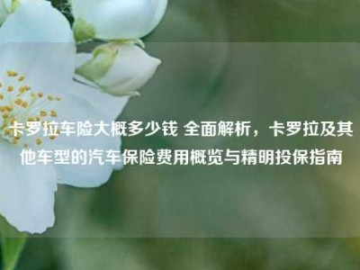 卡罗拉车险大概多少钱 全面解析，卡罗拉及其他车型的汽车保险费用概览与精明投保指南