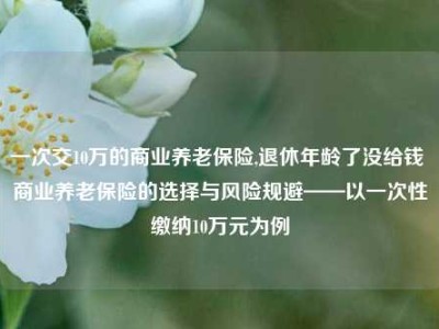 一次交10万的商业养老保险,退休年龄了没给钱 商业养老保险的选择与风险规避——以一次性缴纳10万元为例