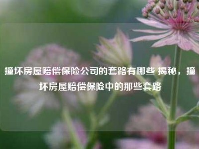 撞坏房屋赔偿保险公司的套路有哪些 揭秘，撞坏房屋赔偿保险中的那些套路