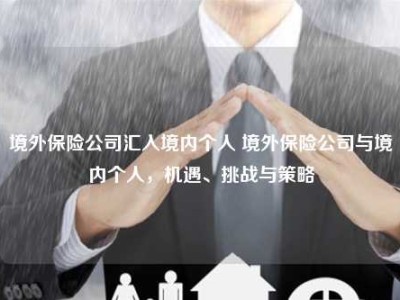 境外保险公司汇入境内个人 境外保险公司与境内个人，机遇、挑战与策略