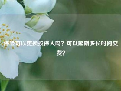 保险可以更换投保人吗？可以延期多长时间交费？