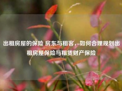 出租房屋的保险 房东与租客，如何合理规划出租房屋保险与租赁财产保险