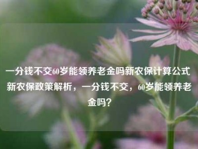 一分钱不交60岁能领养老金吗新农保计算公式 新农保政策解析，一分钱不交，60岁能领养老金吗？