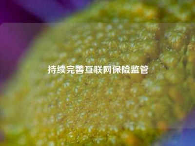 持续完善互联网保险监管