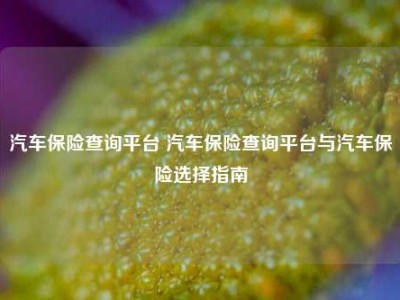 汽车保险查询平台 汽车保险查询平台与汽车保险选择指南