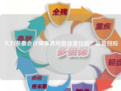 大力发展会计师事务所职业责任险？监管回应