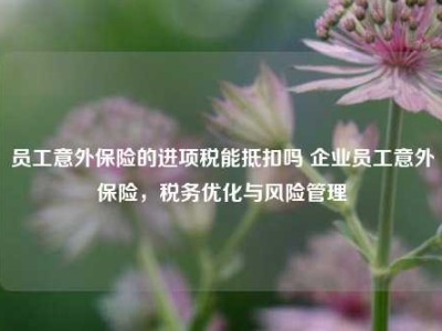 员工意外保险的进项税能抵扣吗 企业员工意外保险，税务优化与风险管理