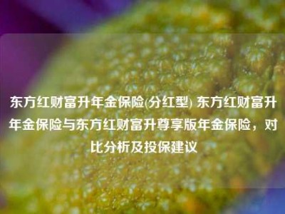 东方红财富升年金保险(分红型) 东方红财富升年金保险与东方红财富升尊享版年金保险，对比分析及投保建议