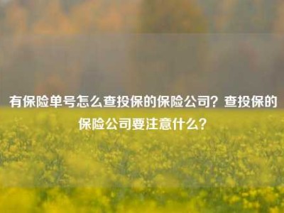 有保险单号怎么查投保的保险公司？查投保的保险公司要注意什么？