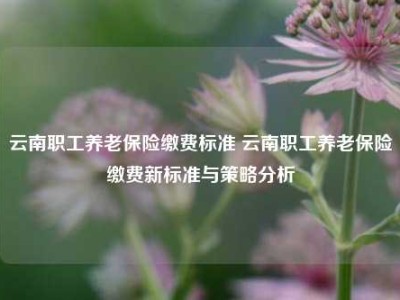 云南职工养老保险缴费标准 云南职工养老保险缴费新标准与策略分析