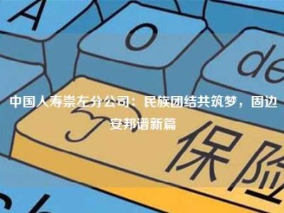 中国人寿崇左分公司：民族团结共筑梦，固边安邦谱新篇