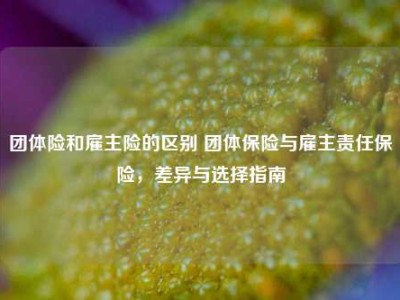 团体险和雇主险的区别 团体保险与雇主责任保险，差异与选择指南