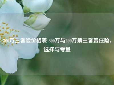 300万三者险价格表 300万与200万第三者责任险，选择与考量