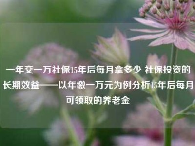 一年交一万社保15年后每月拿多少 社保投资的长期效益——以年缴一万元为例分析15年后每月可领取的养老金