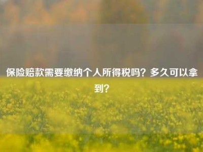 保险赔款需要缴纳个人所得税吗？多久可以拿到？