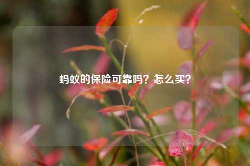 蚂蚁的保险可靠吗？怎么买？