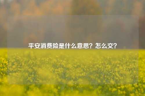 平安消费险是什么意思？怎么交？