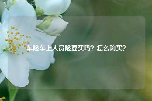 车险车上人员险要买吗？怎么购买？