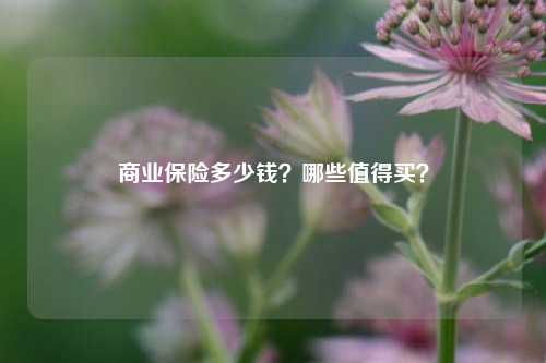 商业保险多少钱？哪些值得买？