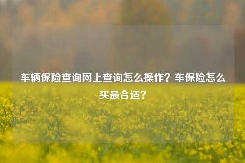 车辆保险查询网上查询怎么操作？车保险怎么买最合适？