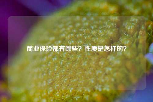 商业保险都有哪些？性质是怎样的？