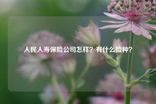 人民人寿保险公司怎样？有什么险种？