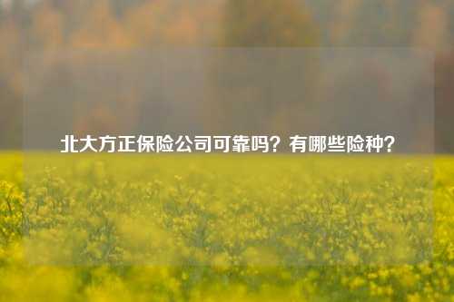 北大方正保险公司可靠吗？有哪些险种？