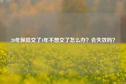 20年保险交了4年不想交了怎么办？会失效吗？