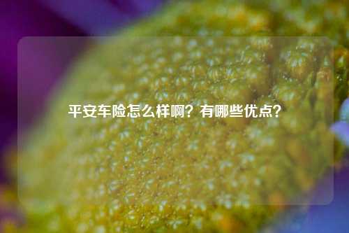 平安车险怎么样啊？有哪些优点？