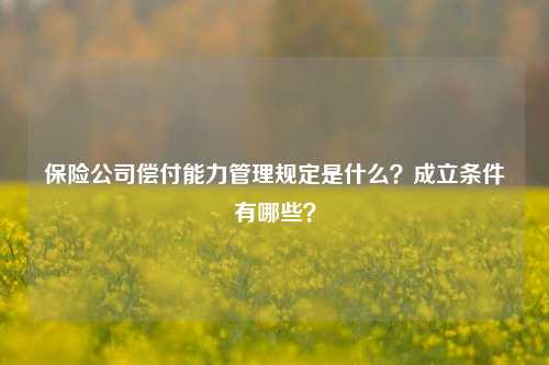 保险公司偿付能力管理规定是什么？成立条件有哪些？