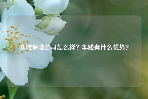 众诚保险公司怎么样？车险有什么优势？