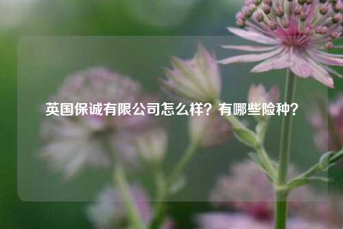 英国保诚有限公司怎么样？有哪些险种？