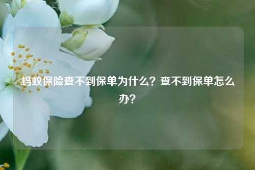 蚂蚁保险查不到保单为什么？查不到保单怎么办？