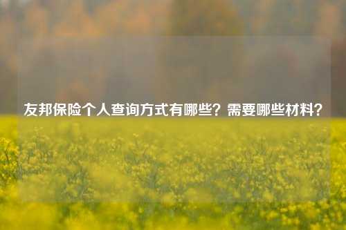 友邦保险个人查询方式有哪些？需要哪些材料？