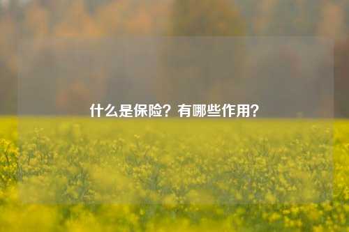 什么是保险？有哪些作用？