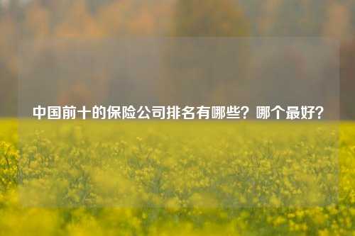 中国前十的保险公司排名有哪些？哪个最好？