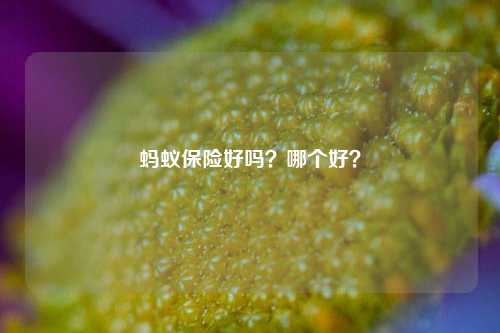 蚂蚁保险好吗？哪个好？