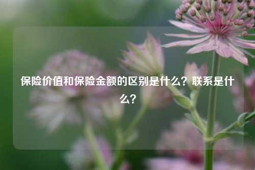 保险价值和保险金额的区别是什么？联系是什么？