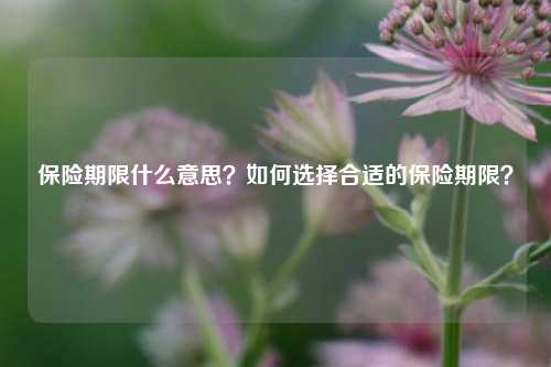 保险期限什么意思？如何选择合适的保险期限？