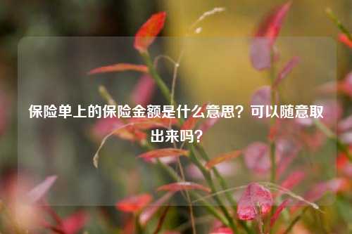 保险单上的保险金额是什么意思？可以随意取出来吗？