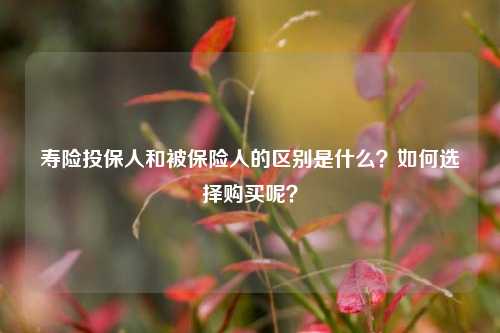 寿险投保人和被保险人的区别是什么？如何选择购买呢？