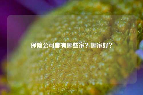 保险公司都有哪些家？哪家好？